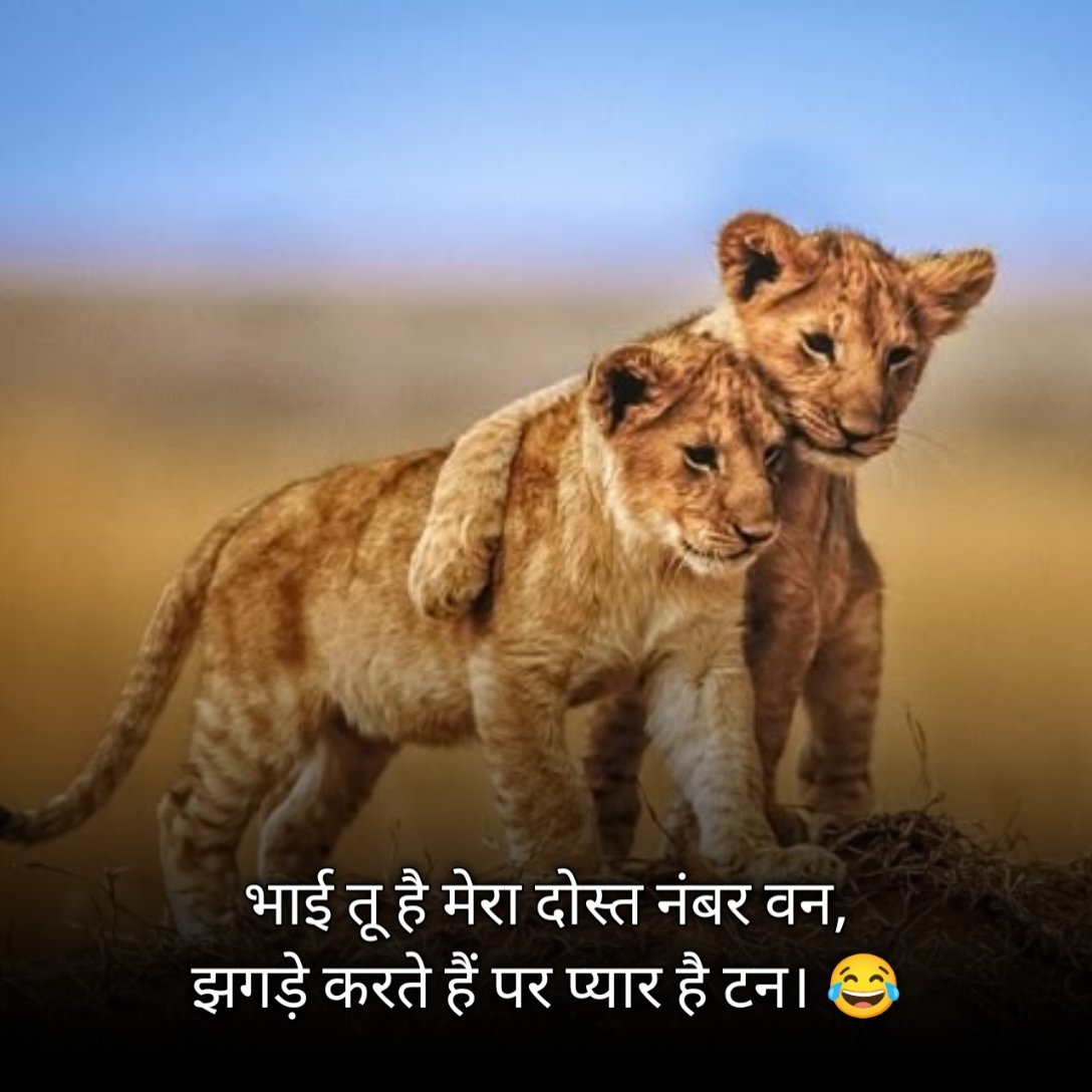 Funny Brother Shayari in Hindi 